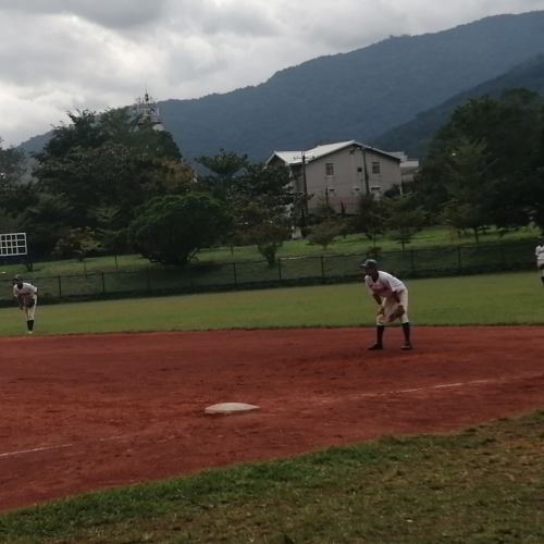 替代文字