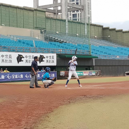 替代文字