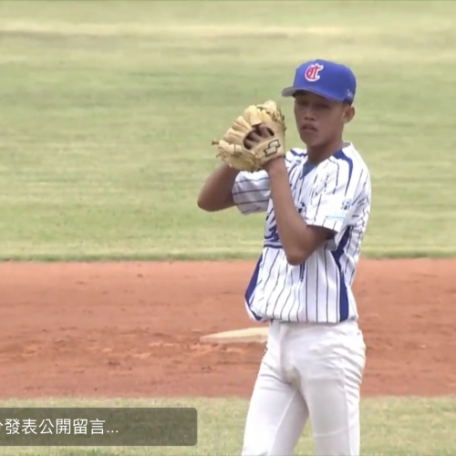 替代文字