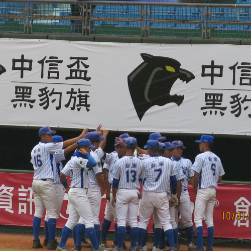 替代文字