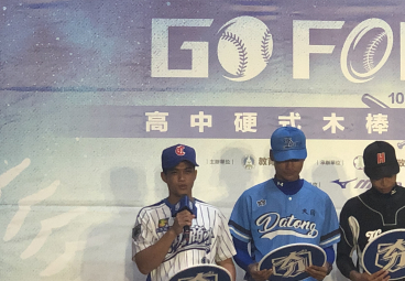替代文字