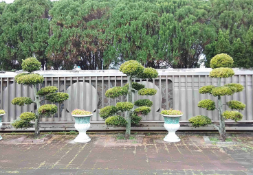 替代文字