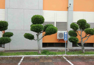 替代文字