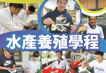 替代文字