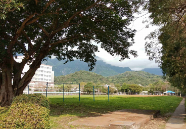 替代文字