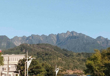 替代文字