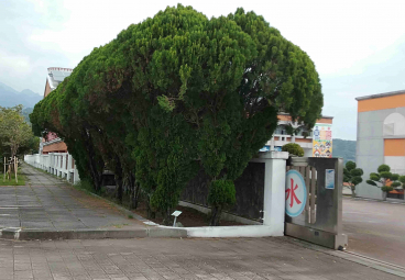 替代文字